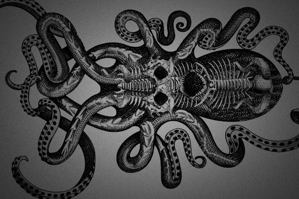 Kraken 5 at